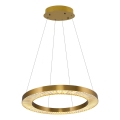 LED rippvalgusti JESI LED/85W/230V 3000K diameeter 80 cm pronks