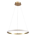 LED rippvalgusti kaabliga DIANA LED/25W/230V 4000K läbimõõt 50 cm kuldne