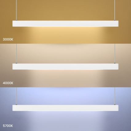 LED-rippvalgusti kaabliga LINEA LED/36W/230V 3000/4000/5700K CRI 90 valge