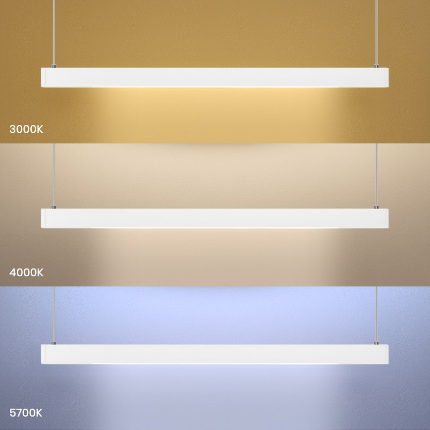 LED-rippvalgusti kaabliga LINEA LED/36W/230V 3000/4000/5700K CRI 90 valge