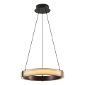 LED-rippvalgusti kaablil JESI LED/2W/230V 3000K pruun