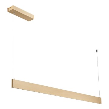 LED-rippvalgusti kaablil LINEA LED/36W/230V 3000/4000/5700K CRI 90 kuldne