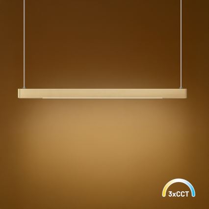 LED-rippvalgusti kaablil LINEA LED/36W/230V 3000/4000/5700K CRI 90 kuldne