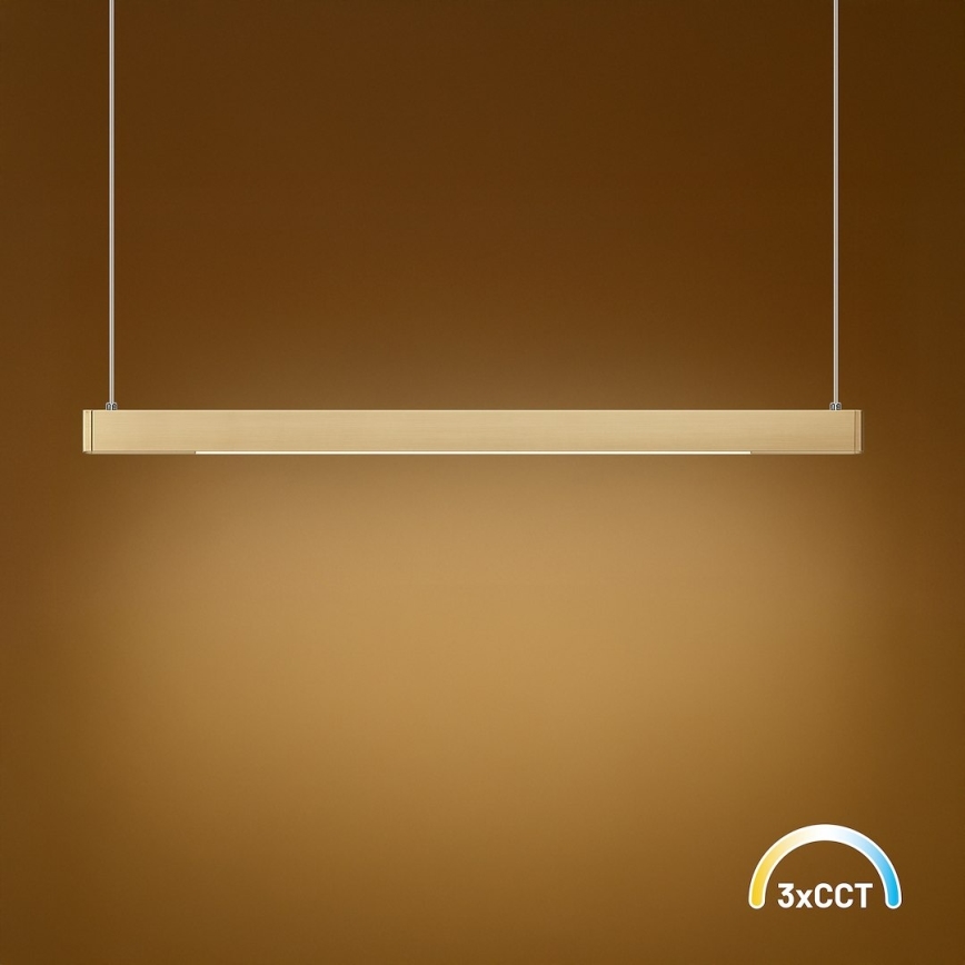 LED-rippvalgusti kaablil LINEA LED/36W/230V 3000/4000/5700K CRI 90 kuldne