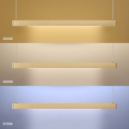LED-rippvalgusti kaablil LINEA LED/36W/230V 3000/4000/5700K CRI 90 kuldne