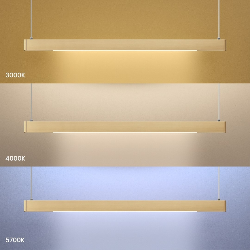 LED-rippvalgusti kaablil LINEA LED/36W/230V 3000/4000/5700K CRI 90 kuldne