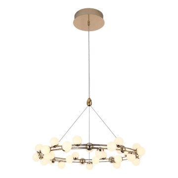 LED-rippvalgusti kaablil MARS LED/50W/230V 3000K kuldne