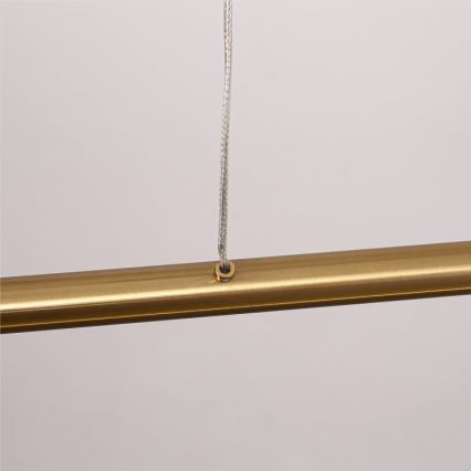 LED-rippvalgusti kaablil MELECA LED/36W/230V 3000/4000/6000K 160 cm kuldne