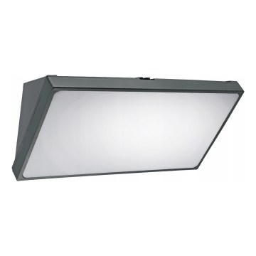 LED seinale paigaldatav välisvalgusti liikumisanduriga LED/20W/230V IP65 hall