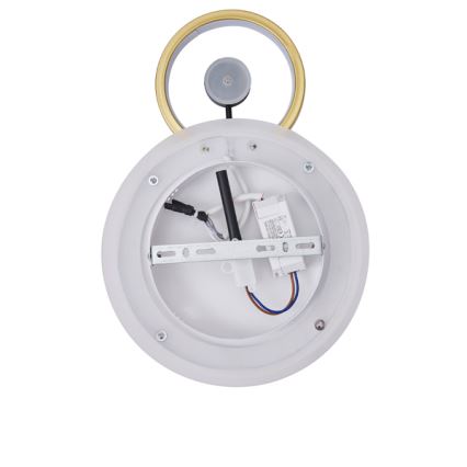 LED Seinavalgusti LED/15W/230V 3000K