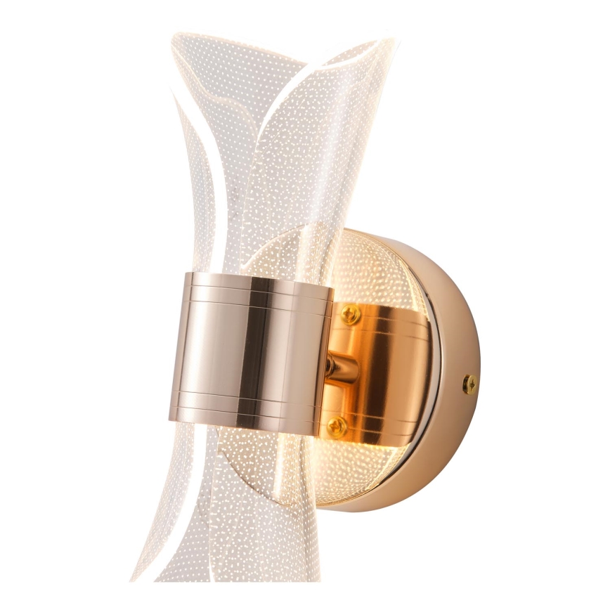 LED Seinavalgusti LED/8W/230V 3000K