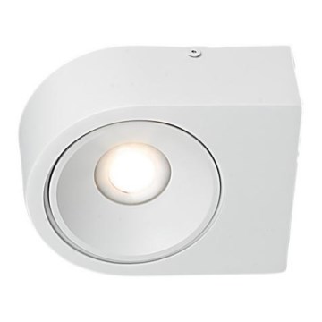 LED Seinavalgusti LUCE LED/10W/230V