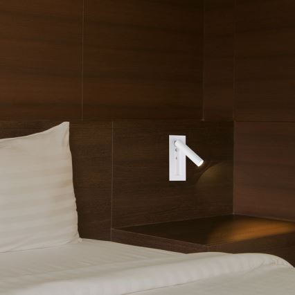 LED seinavalgusti (suunatav spot) LED/2W/230V 3000K valge