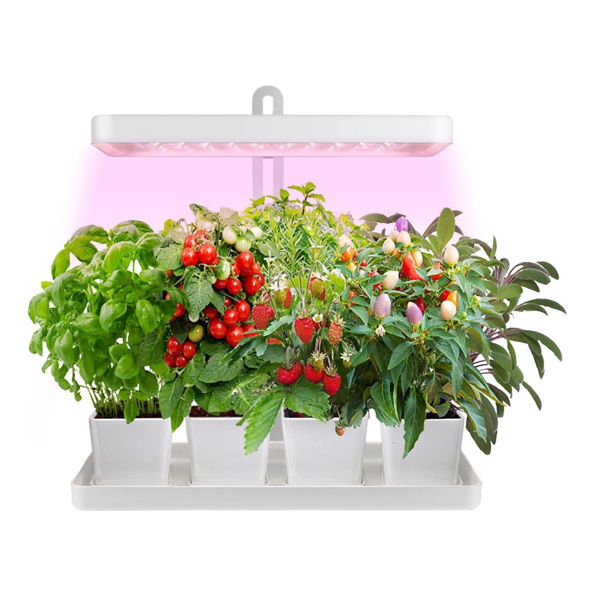 LED Siselamp taimede kasvatamiseks LED/20W/5V 3500K