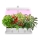 LED Siselamp taimede kasvatamiseks LED/20W/5V 3500K