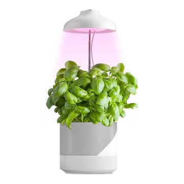 LED Siselamp taimede kasvatamiseks LED/5W/5V 3200K