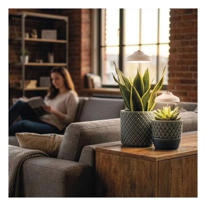 LED siseruumide taimekasvulamp GROW LED/5W/5V