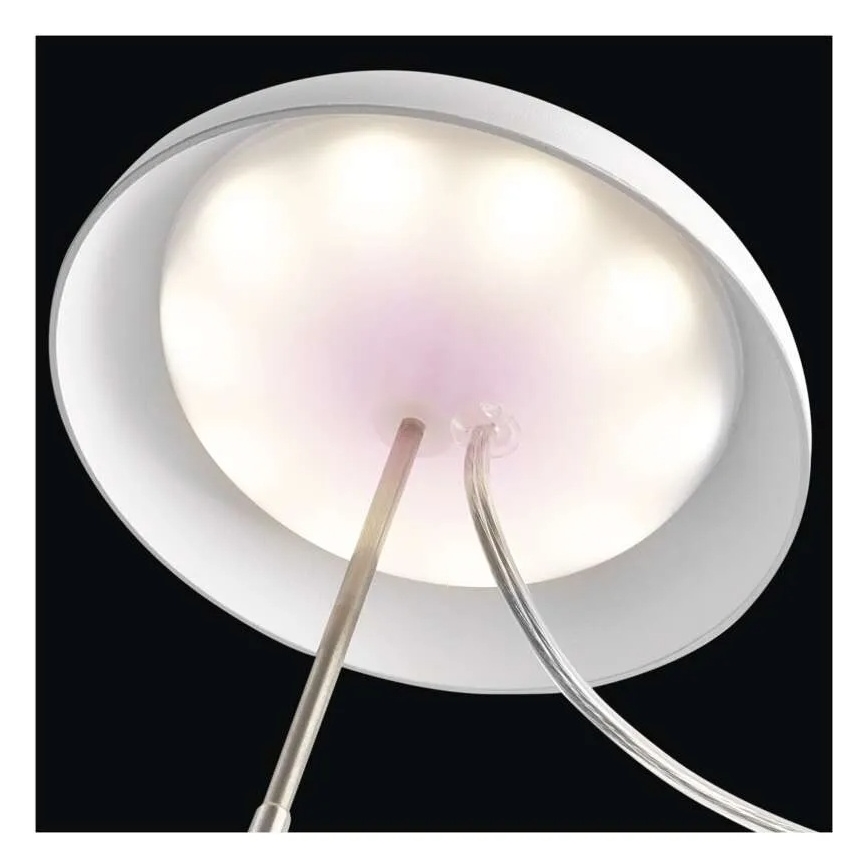 LED siseruumide taimekasvulamp GROW LED/5W/5V