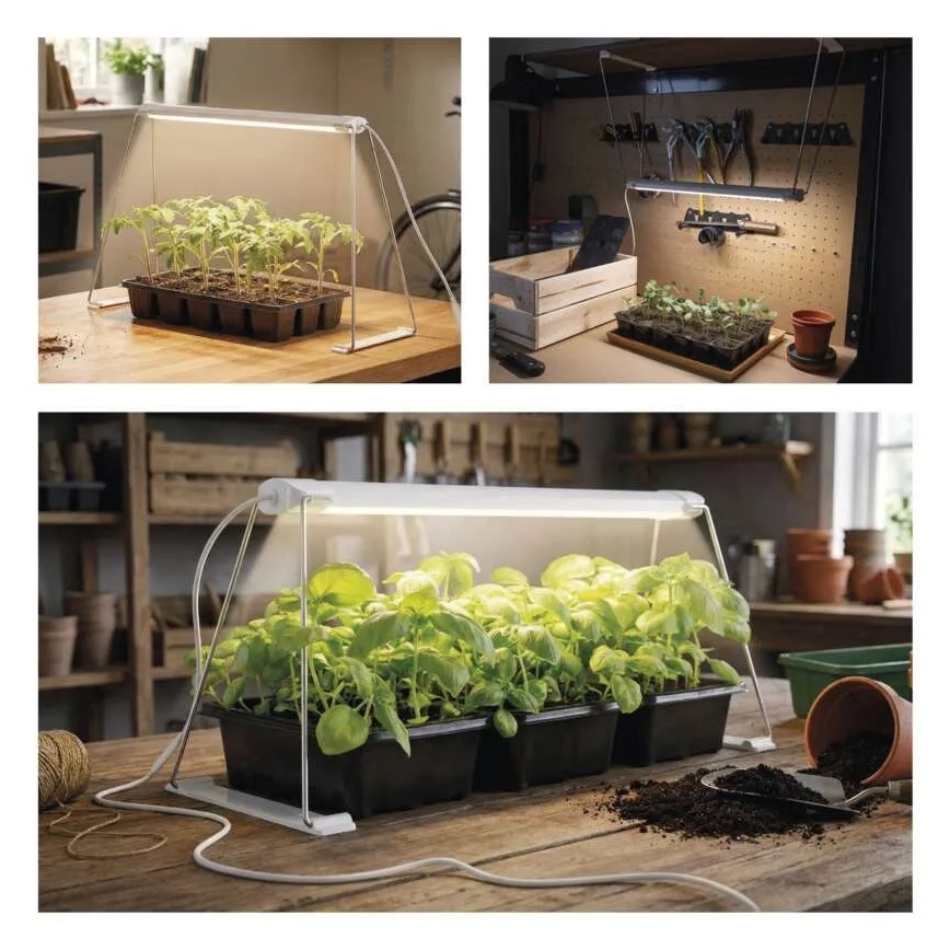 LED sisetaimede kasvulamp GROW LED/15W/230V