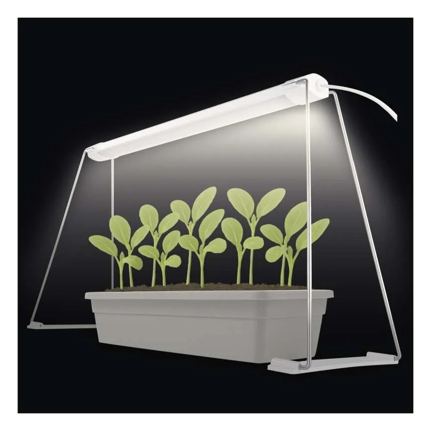 LED sisetaimede kasvulamp GROW LED/15W/230V