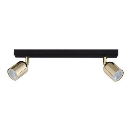 LED spotvalgusti TOP 2xGU10/10W/230V must/kuldne