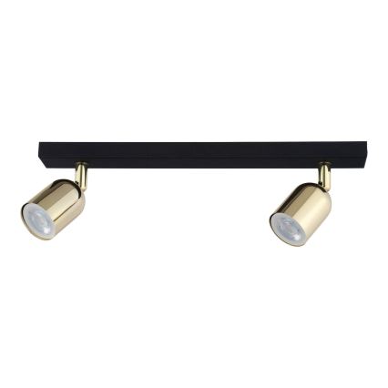 LED spotvalgusti TOP 2xGU10/10W/230V must/kuldne