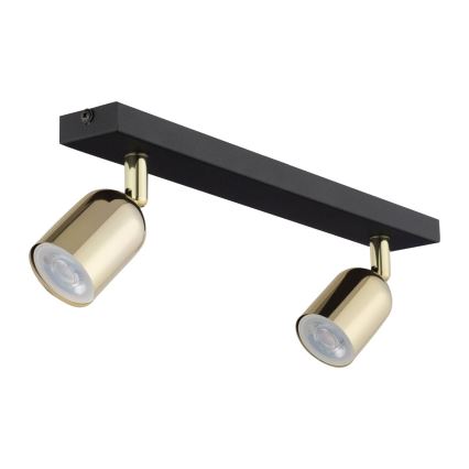 LED spotvalgusti TOP 2xGU10/10W/230V must/kuldne