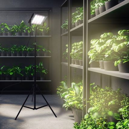 LED Statiiviga prožektor taimede kasvatamiseks FIRON LED/45W/230V IP54 must