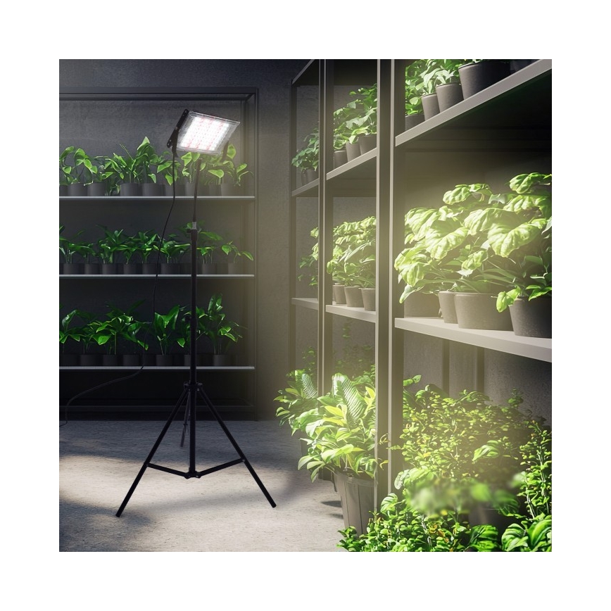 LED Statiiviga prožektor taimede kasvatamiseks FIRON LED/45W/230V IP54 must