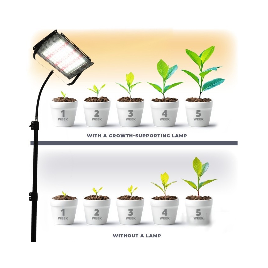 LED Statiiviga prožektor taimede kasvatamiseks FIRON LED/45W/230V IP54 must