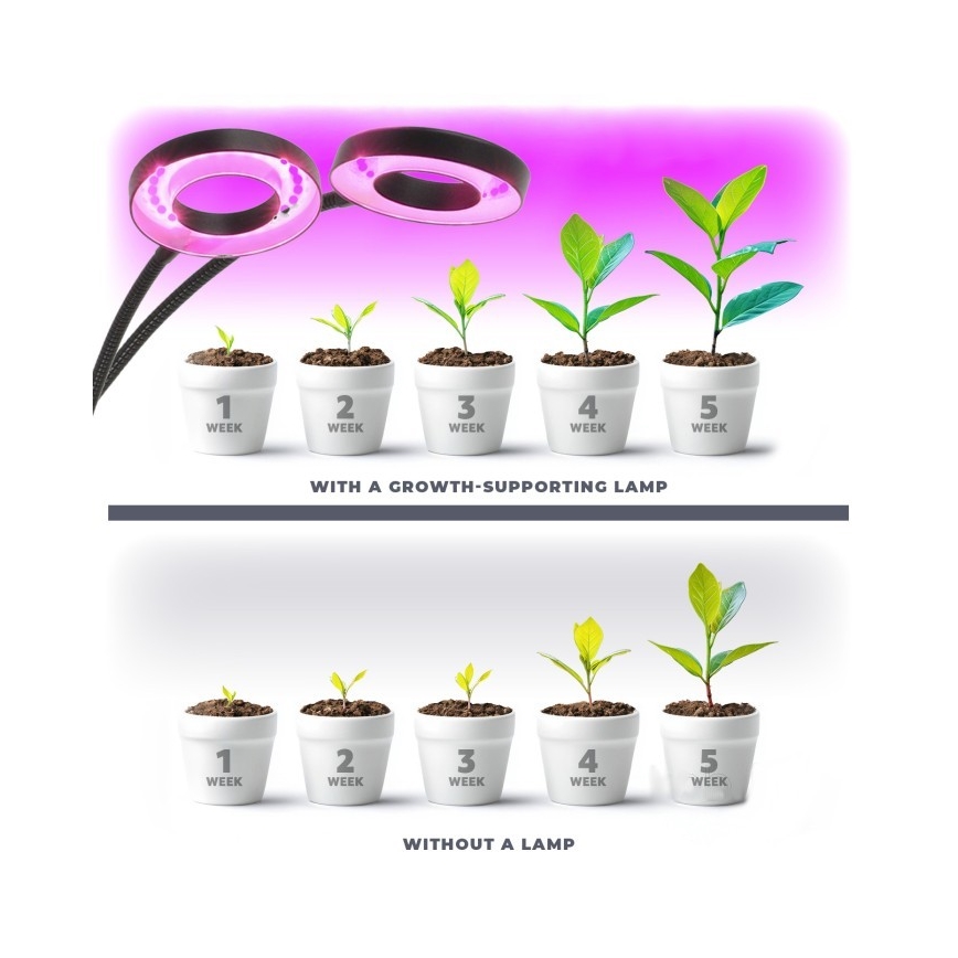 LED reguleeritav painduv lauavalgusti klambriga taimede kasvatamiseks VITARO 2xLED/4W/230V must