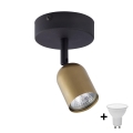 LED suunav valgusti TOP 1xGU10/10W/230V kuldne/must