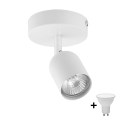 LED suunav valgusti TOP 1xGU10/10W/230V valge