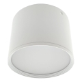 LED suunavalgusti LED/10W/230V 3000/4000/6400K läbimõõt 12 cm valge