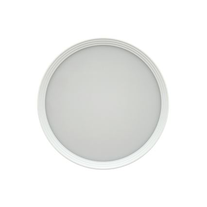 LED suunavalgusti LED/10W/230V 3000/4000/6400K läbimõõt 12 cm valge
