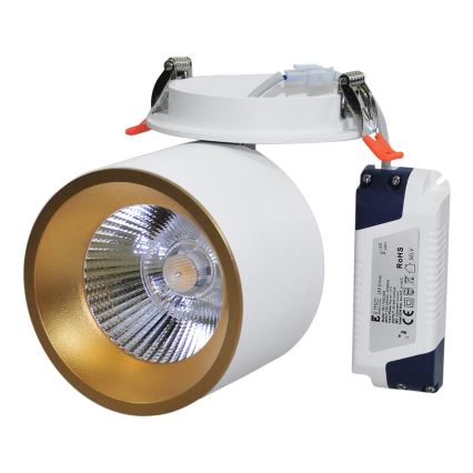 LED Süvistatav kohtvalgusti HARON LED/20W/230V valge