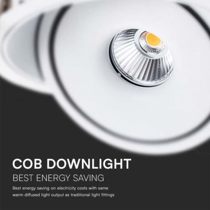 LED Süvistatav kohtvalgusti LED/28W/230V 3000/4000/6400K d. 20 cm valge