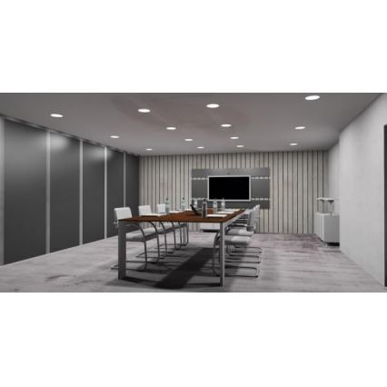 LED Süvistatav valgusti LED/12W/230V