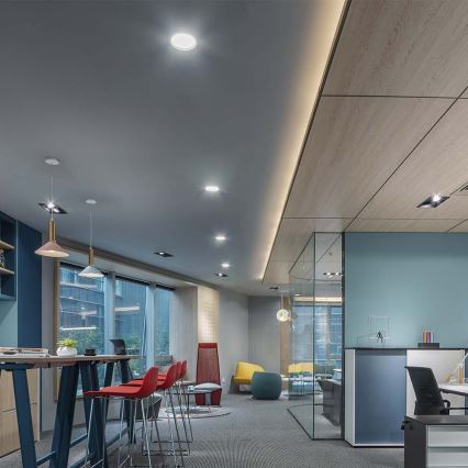 LED Süvistatav valgusti LED/24W/230V d. 29,6 cm 6500K valge