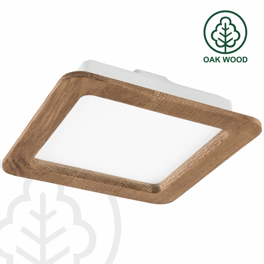 LED Süvistatav valgusti WOODY SPOT LED/17W/230V 3000K pähkel 18,5x18,5 cm