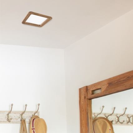 LED Süvistatav valgusti WOODY SPOT LED/17W/230V 3000K pähkel 18,5x18,5 cm