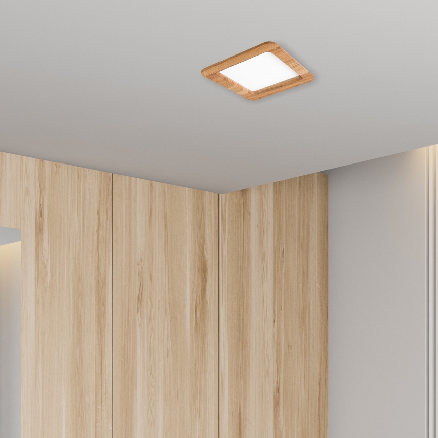 LED Süvistatav valgusti WOODY SPOT LED/17W/230V 3000K tamm 18,5x18,5 cm