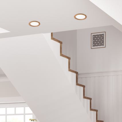 LED Süvistatav valgusti WOODY SPOT LED/23,5W/230V 4000K tamm ø 23,5 cm