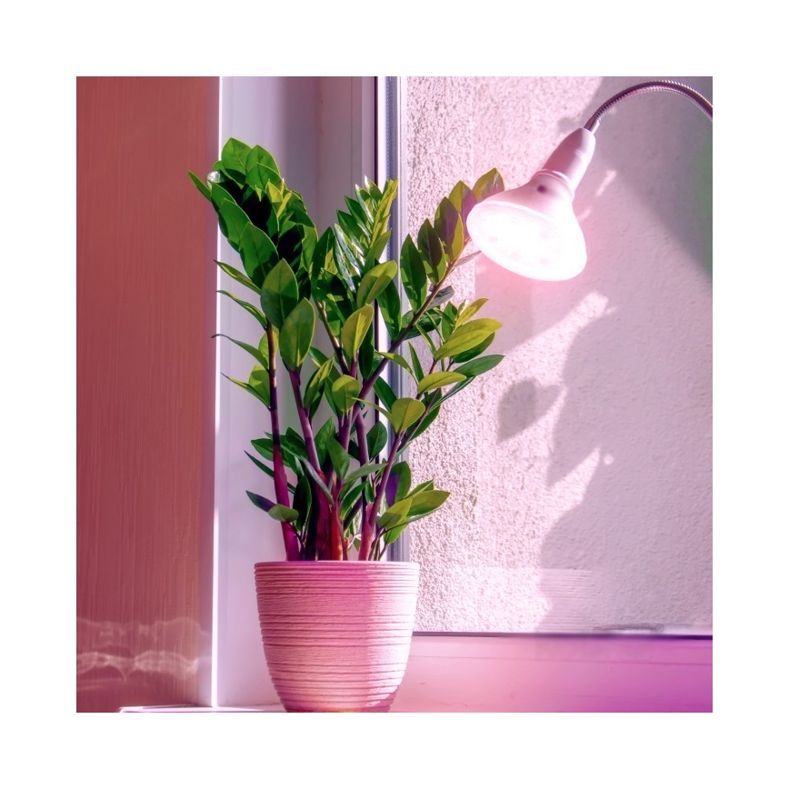 LED-taimelamp PLANTY E27/7W/230V 1200K valge