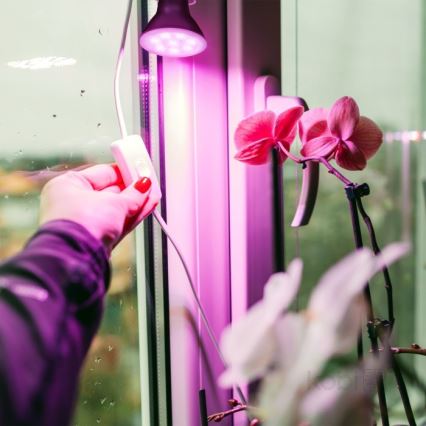 LED-taimelamp PLANTY E27/7W/230V 1200K must värv