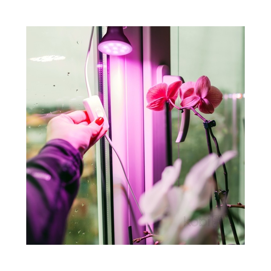 LED-taimelamp PLANTY E27/7W/230V 1200K must värv