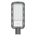 LED Tänavalamp LED/50W/230V 6500K IP65 hall
