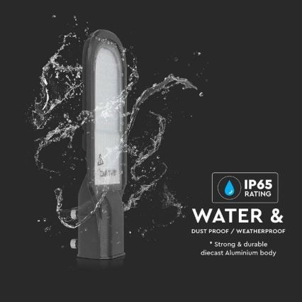 LED Tänavalamp SAMSUNG CHIP LED/30W/230V 6400K IP65