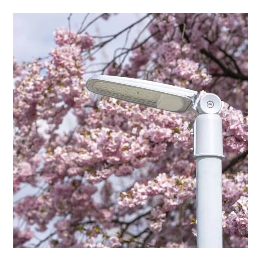 LED Tänavalamp SOLIS LED/50W/230V 4000K IP65
