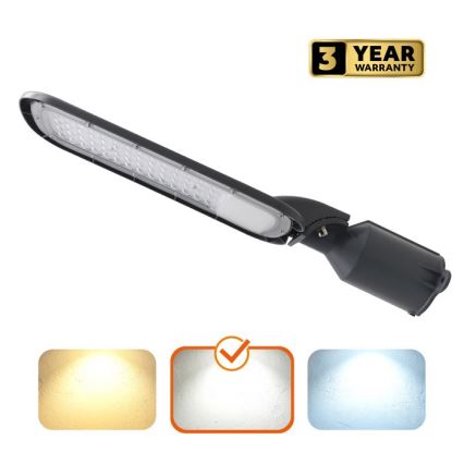 LED-tänavavalgusti BRELUXO LED/100W/230V 4000K IP65